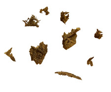 Silber, gediegen xx als Sammlerprobe von Vater Abraham  Lauta Erzgebirge Sachsen