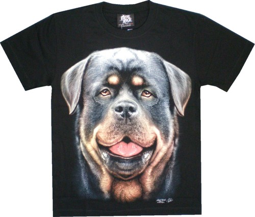 Shirt schwarzes - t-shirt,