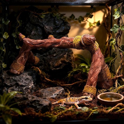 Terrarium habitat aus - terrarium-habitat,