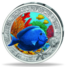 Österreich 3 Euro Blauer Doktorfisch 2024 Cu/Ni hgh Meereswelten Farbe #7