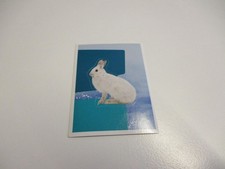 Disney Was ist Was - Abenteuer