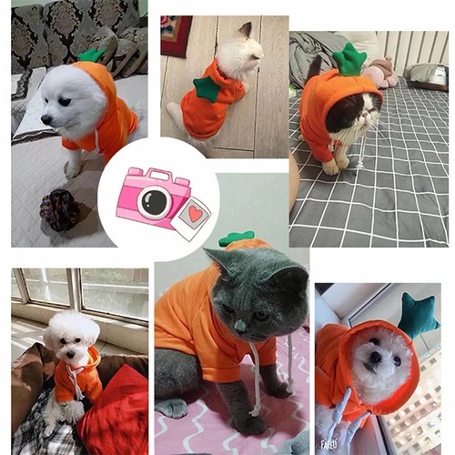 Cute dog hoodie fruit costume - hoodie,