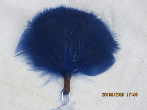 Blue hackle royal regiment - regiment, of