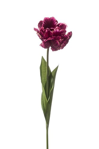 Artplants kunst papageientulpe - artplants,