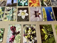 10 makrofotografie Postkarten