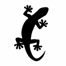 Gecko gebogenes Motiv -