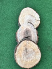 3 Baumscheiben bergahorn 34cm
