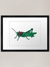 Heuschrecke mit Sattel