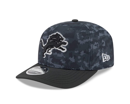 Detroit lions 2026 - detroit,