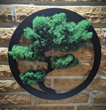 Moosbild Bonsai  Lebenbaum