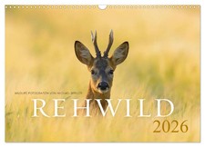Rehwild 2026 (Wandkalender