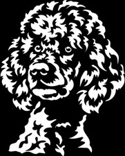 PUDEL Großpudel Aufkleber -  Autoaufkleber - sticker - Pudel Kopf #04