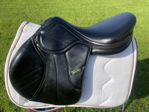 Amerigo vega special - vega,