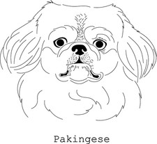 Pekingese Car Decal Dogs