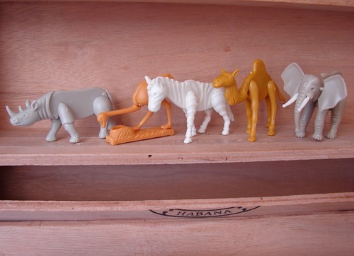 Stecktiere tiere afrikas - -,