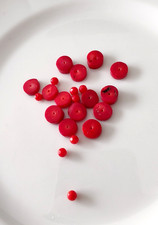 👑14 Koralle-Perlen