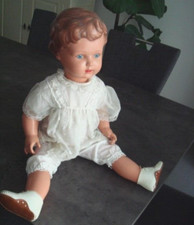 Alte, sehr große SCHILDKRÖT