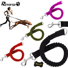 Ruckdämpfer für Hundeleine