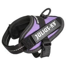 Julius-K9 IDC Powergeschirr lila für Hunde, ergonomisch & atmungsaktiv, EU