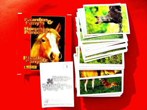 Panini 1997 pferde horses - pferde,