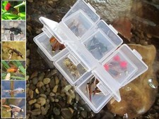 Gilchrist Fliegen. 20 GOLDKOPFNYMPHEN. 6 Muster. Größe 8, 10 & 12