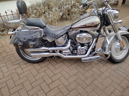 Harley davidson fat boy - harley,