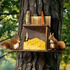 Eichhörnchen Futterhaus