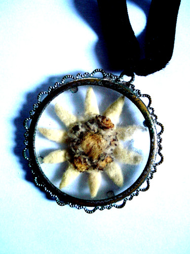 Anhänger edelweiss glas - anhänger,