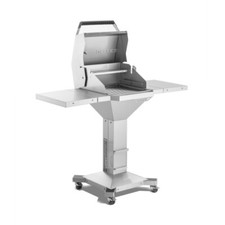 Holzkohlegrill THÜROS T300
