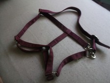 Pferdehalfter -Warmblut/Vollblut NEU ohne ETIKETT