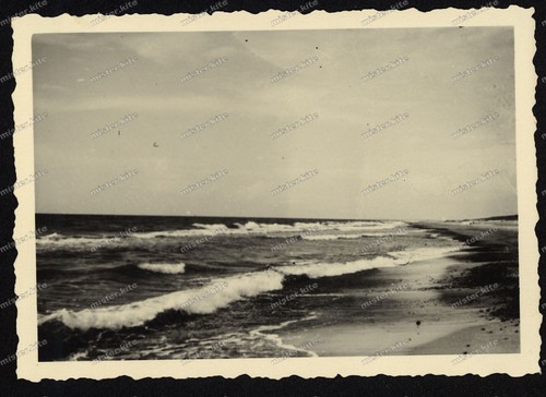 Foto-Nidden-Kurische
