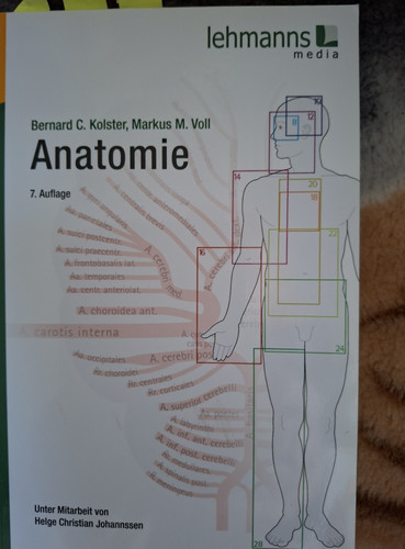 Lehmanns media anatomie - media,