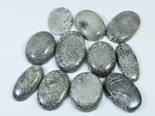 221cts natürliche schwarze - 221cts.,