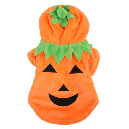Halloween kürbis - halloween,