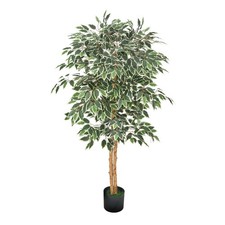 5ft künstlicher ficus - 5ft,