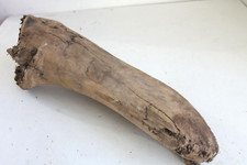 Schwemmholz Treibholz   Skulptur    L 39 cm  Treibgut Engel Hammer Keule