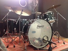 Hayman vibrasonic vintage