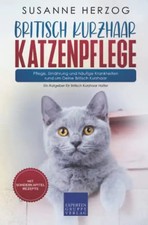 Britisch Kurzhaar Katzenpflege