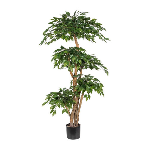 Kunstpflanze ficus benjamini - kunstpflanze,