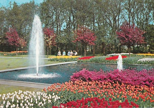 Alte postkarte holland - -,
