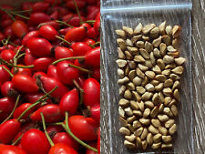 Echte Hagebutten 200+ Samen Hundsrose - Heckenrose - Rosa Canina