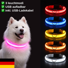 ⭐LED Leuchthalsband LED