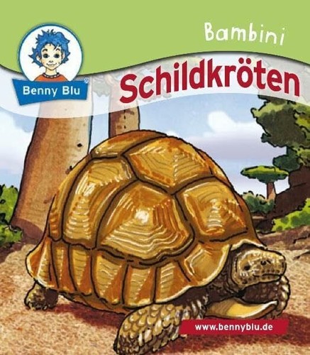 Bambini schildkröten - bambini,