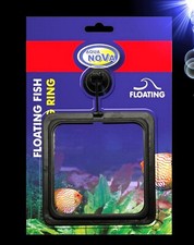 Aquarium 🐠 FUTTERRING ✚