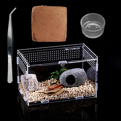 Insekten terrarium set - insekten-terrarium,