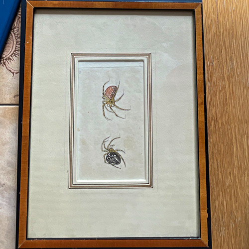 Gerahmter kunstdruck - gerahmter,