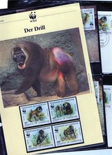 WWF 1988 Kamerun Der Drill Mi