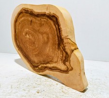 Baumscheibe, Holzscheibe