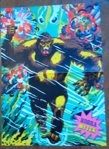 Kobra poster beilage motiv - kobra,