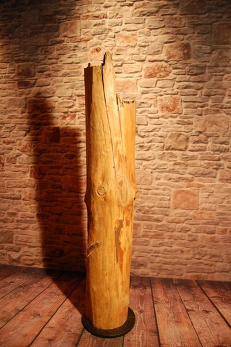 Altholz 250 jahre - altholz,